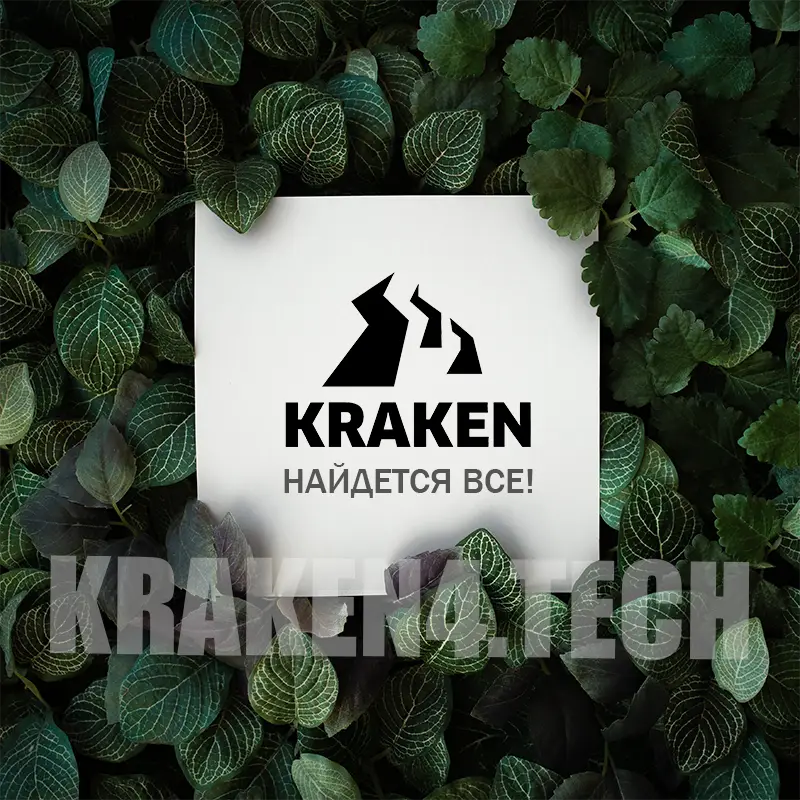 Как установить PGP-ключ на Kraken